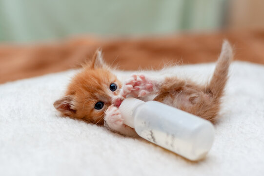 Addressing Extreme and Concerning Behaviors